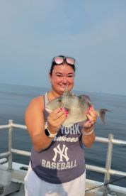 On the fish quick