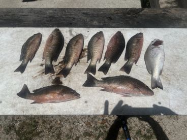 Fish on!