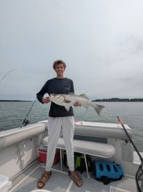 Rockfish a Plenty!