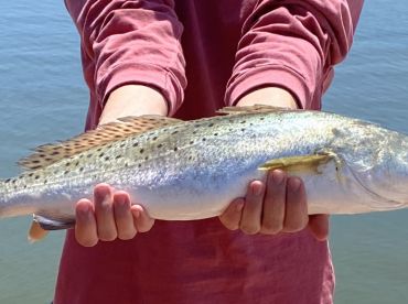 So much fun, lots of fish caught