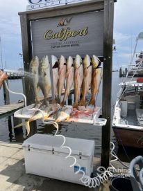 Great Experience and Tons of Fish