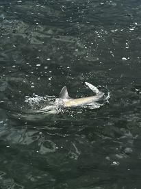 Great Captain = Great Fishing!