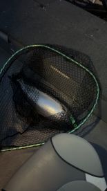 Salmon Trip out of Ludington