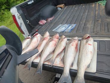 Caught our limit in two hours