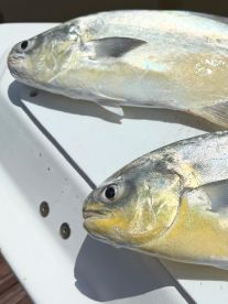 More than just a fishing trip!!!