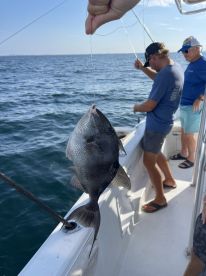 Great nearshore fishing trip!