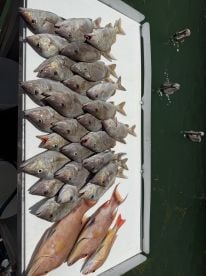 Great fishing and great crew