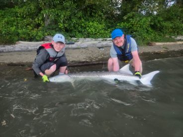 Wow what a fish
