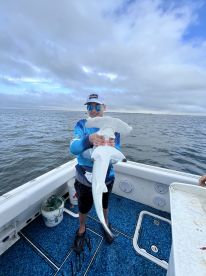 Shark Fishing