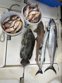 Fantastic first fishing experience