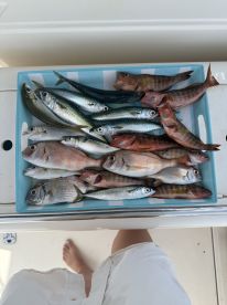 Fishing with Maximo