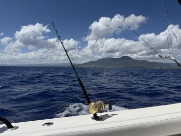 Mahi and mahi