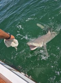 Great Day on the Water 