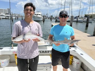 We caught shark on a shark fishing trip!