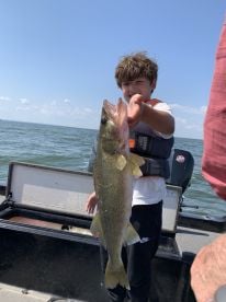 Walleye