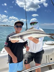 Amazing family first experience 