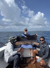 Marlin