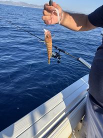 Many catch for lunch