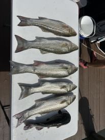 Great fishing trip today!