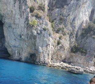 Caption, fishing, swimming, snorkeling, drinks and delicious food!