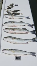 Peaceful & fishful😊
