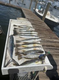 Great first trip!