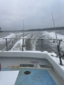 Great trip 