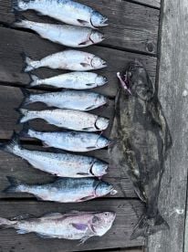 Very successful fishing trip!