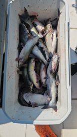 Great fishing trip 