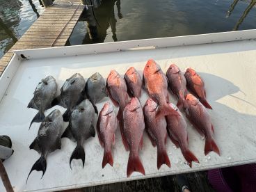 5 man limit
