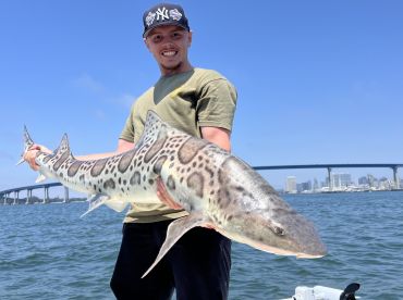 40 fish in 4 hours!