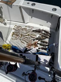 Fish, fish and more fish!