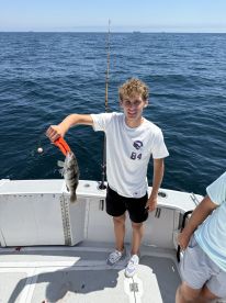 Fish, fish and more fish!