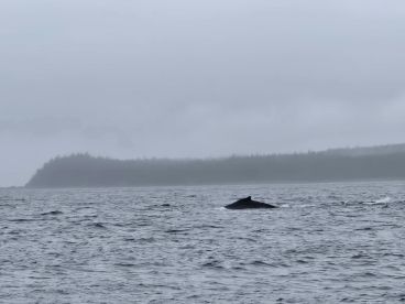 Excellent fishing trip in Juneau!