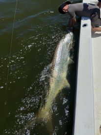 Fishing with Clery