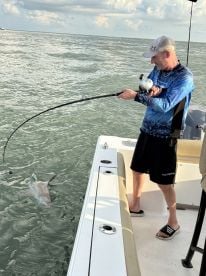 Shark