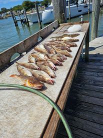 Excellent fishing trip