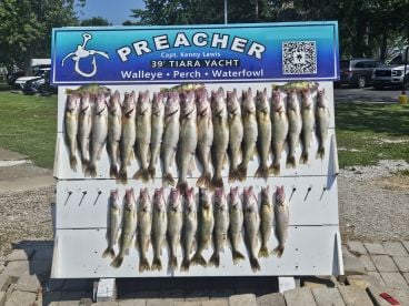 Walleye Beware!