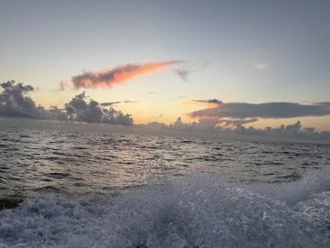 Awesome fishing and crew!!