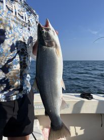 Great Day on the Water