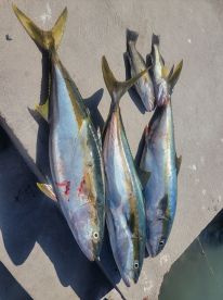 August fishing trip