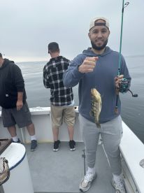 Wonderful experience 