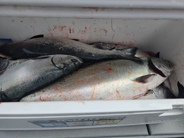 Tom brought us to the fish. 