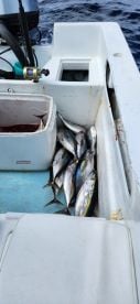Not happy but caught fish