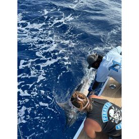 Nambas fishing charters 