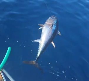 August fishing trip