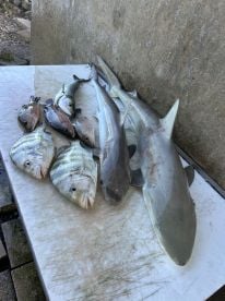AM Nearshore trip 