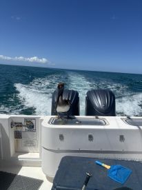 Best charter I’ve had