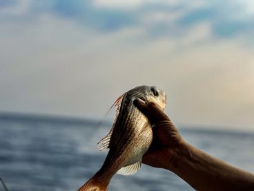 Knowledgable and helpful Captain