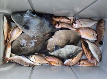 Amazing first time deep sea  fishing trip